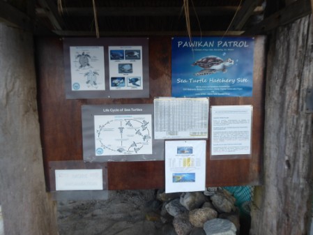 A closer view of the info wall with various announcements