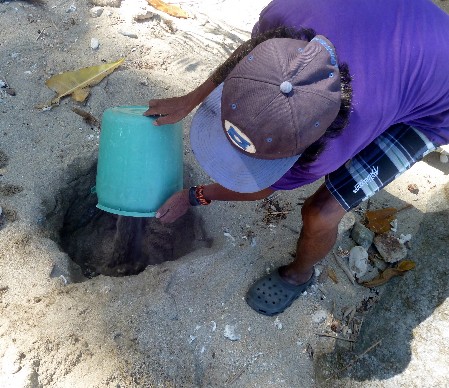 Burial in a designated beach spot away from the hatchery site The burial hole for the remains of a cleared sea turtle nest